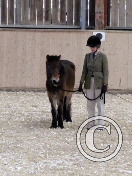 Mountain and Moorland (6)