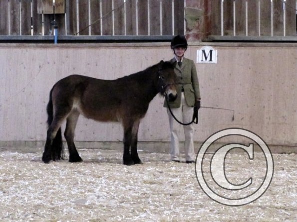 Mountain and Moorland