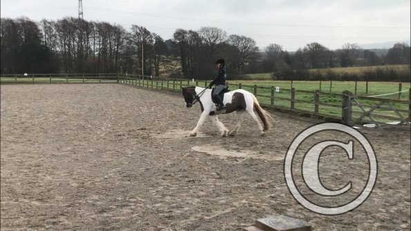 26653395_1935709336457649_1382653781_o