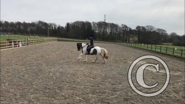 26653504_1935709376457645_725032677_o