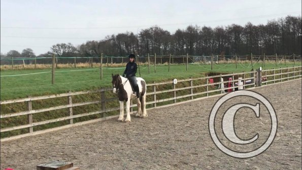 26654995_1935709346457648_863875575_o