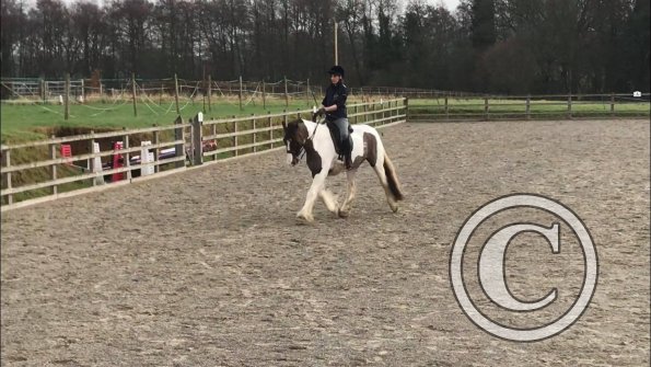 26694975_1935709393124310_972477868_o