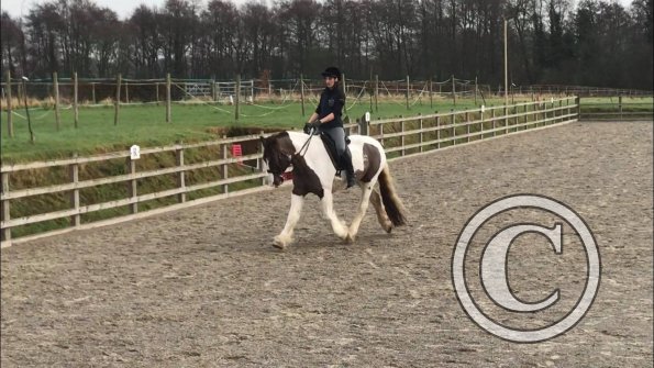 26695453_1935709403124309_1727145750_o