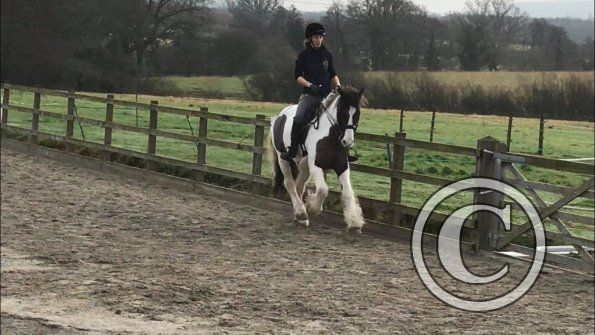 26695635_1935709373124312_1594607511_o