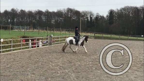 26695902_1935709343124315_728878465_o