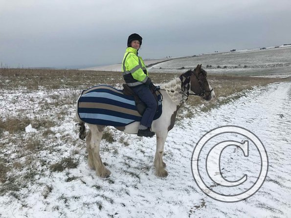 28908264_2020007944694454_1883403295_n