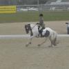 Lance medium canter 1