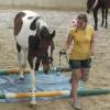 Horse Agility (12)