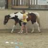 Horse Agility (26)
