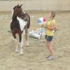 Horse Agility (32)