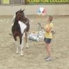 Horse Agility (33)