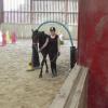 Horse Agility (4)