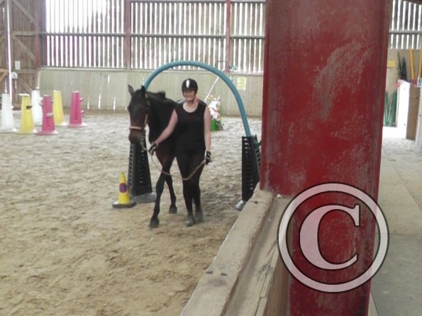 Horse Agility (4)