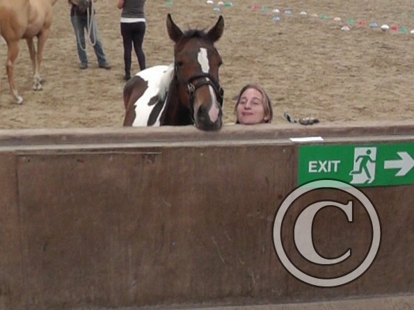 Horse Agility