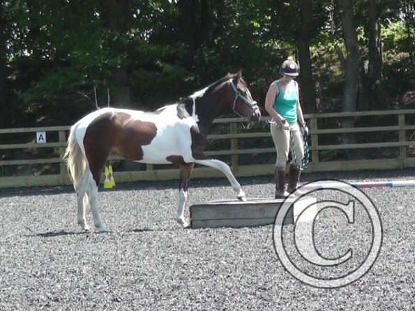 06-08-2013_104924(2)