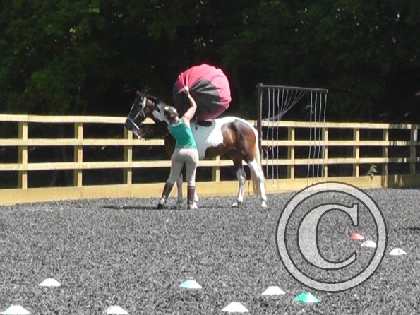 06-08-2013_105444(1)