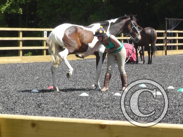 06-08-2013_105444(15)