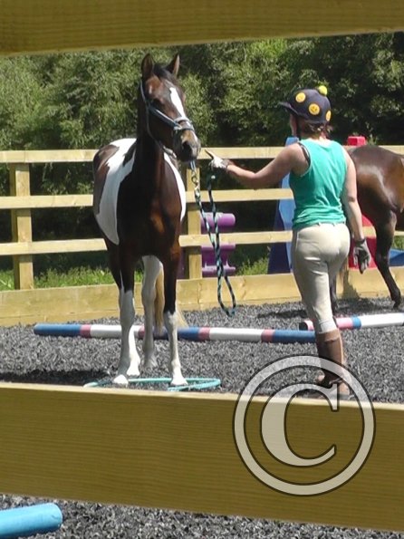 06-08-2013_105444(6)