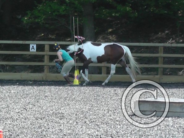 06-08-2013_110334(1)