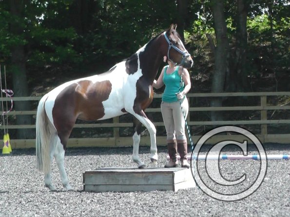 06-08-2013_110334(2)