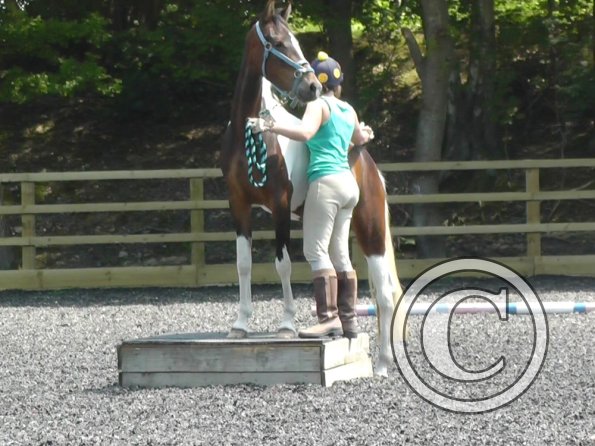 06-08-2013_112014(1)