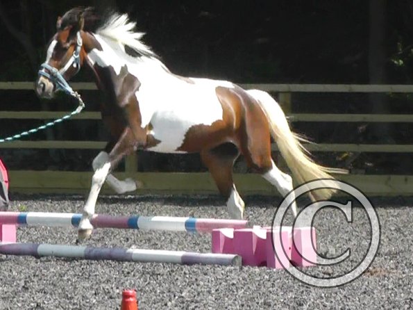 06-08-2013_112014(3)