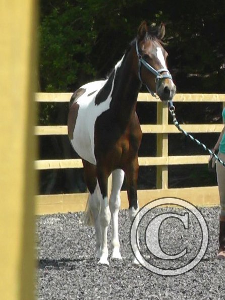 06-08-2013_112014(4)