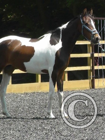 06-08-2013_112014(5)