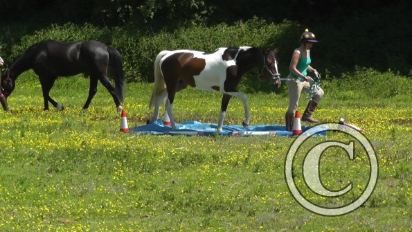 06-08-2013_112629(1)