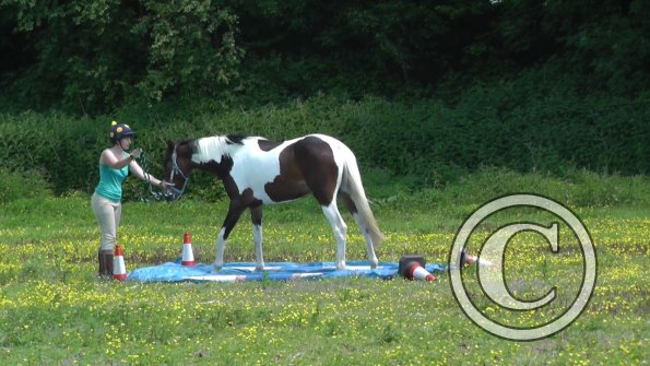 06-08-2013_112629(3)