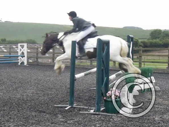 vlcsnap-2012-06-10-14h49m34s65