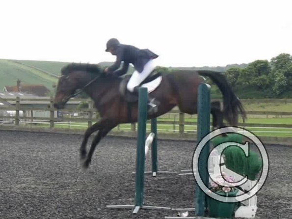 vlcsnap-2012-06-10-14h51m35s255