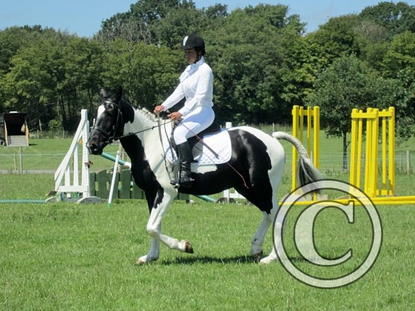 JD dressage (11)