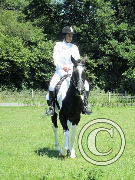 JD dressage (14)