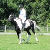 JD dressage (15)