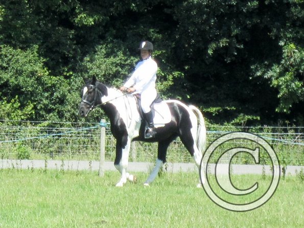 JD dressage (3)
