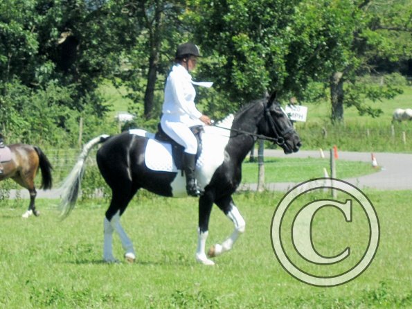 JD dressage (5)