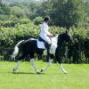 JD dressage (9)