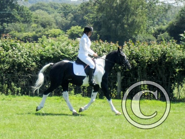 JD dressage (9)