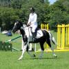 JD dressage