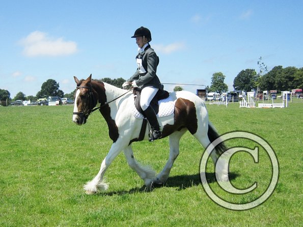 Lance dressage (11)