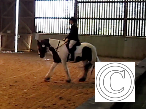 vlcsnap-2010-12-12-19h30m46s245