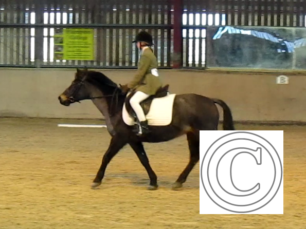 vlcsnap-2010-12-12-19h37m08s223