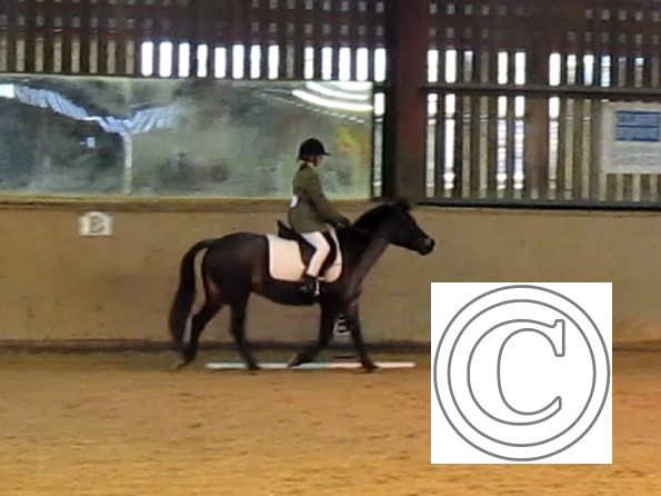 vlcsnap-2010-12-12-19h37m16s52