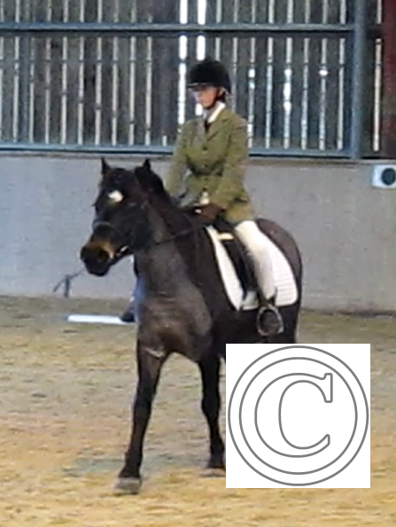 vlcsnap-2010-12-12-19h37m38s12