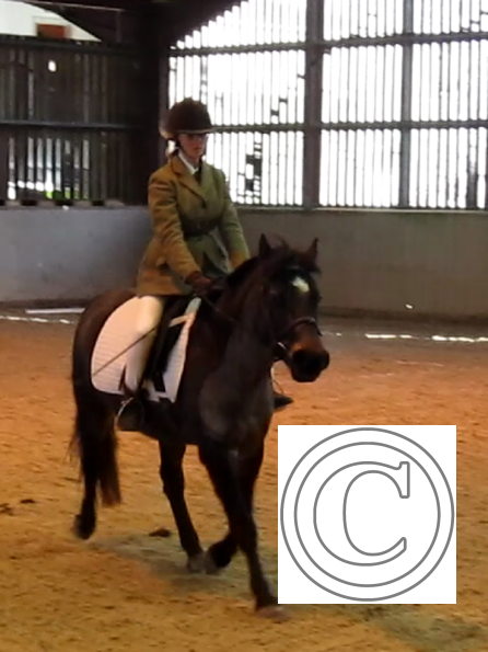 vlcsnap-2010-12-12-19h38m26s230