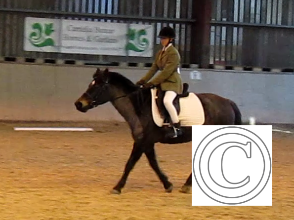 vlcsnap-2010-12-12-19h39m19s5