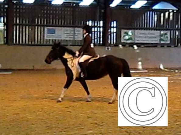 vlcsnap-2010-12-12-19h41m34s76