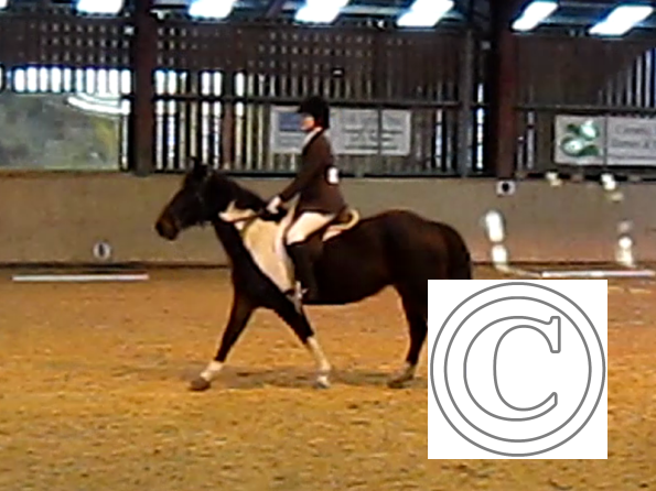 vlcsnap-2010-12-12-19h41m38s117