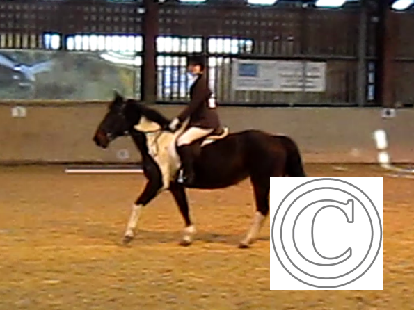 vlcsnap-2010-12-12-19h41m41s147